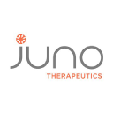 Juno's Stock Card
